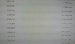 广西容县爆料新闻最新,最新爆料揭示惊人真相