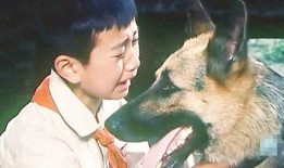 狼犬历险记在线观看,勇闯未知世界的冒险之旅